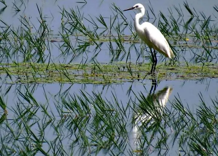 Oniron * Sidirokastro (Sintiki)